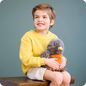 American Robin Warmies