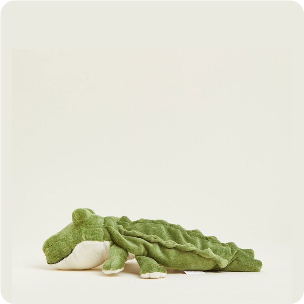 CPJ-ALI-1-Alligator-Junior-05-Crop_a0a7f911-04aa-4e5f-b09f-88cbfc42de15