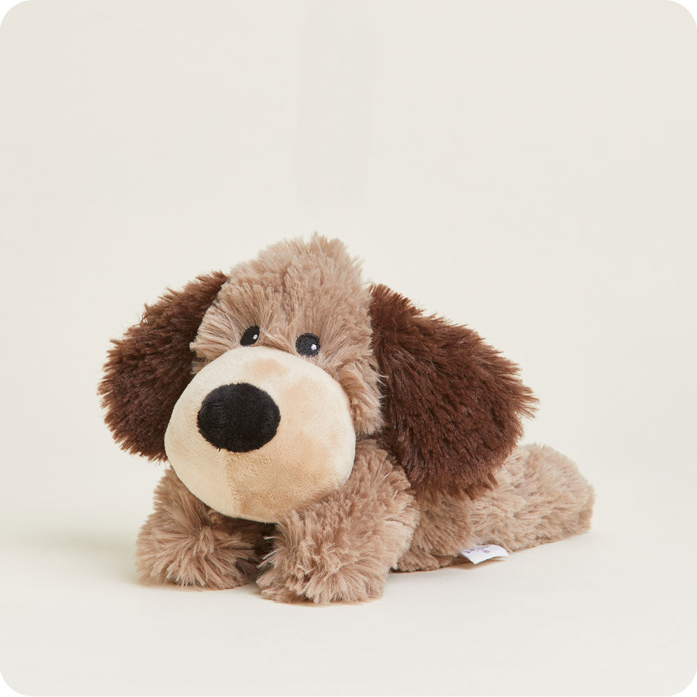 CPJ-DOG-1-Brown-Dog-Junior-04-1