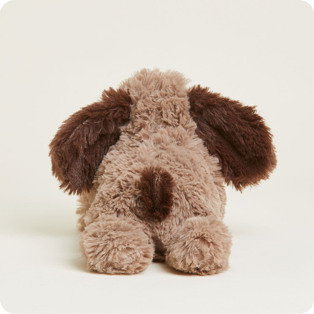 CPJ-DOG-1-Brown-Dog-Junior-06-1