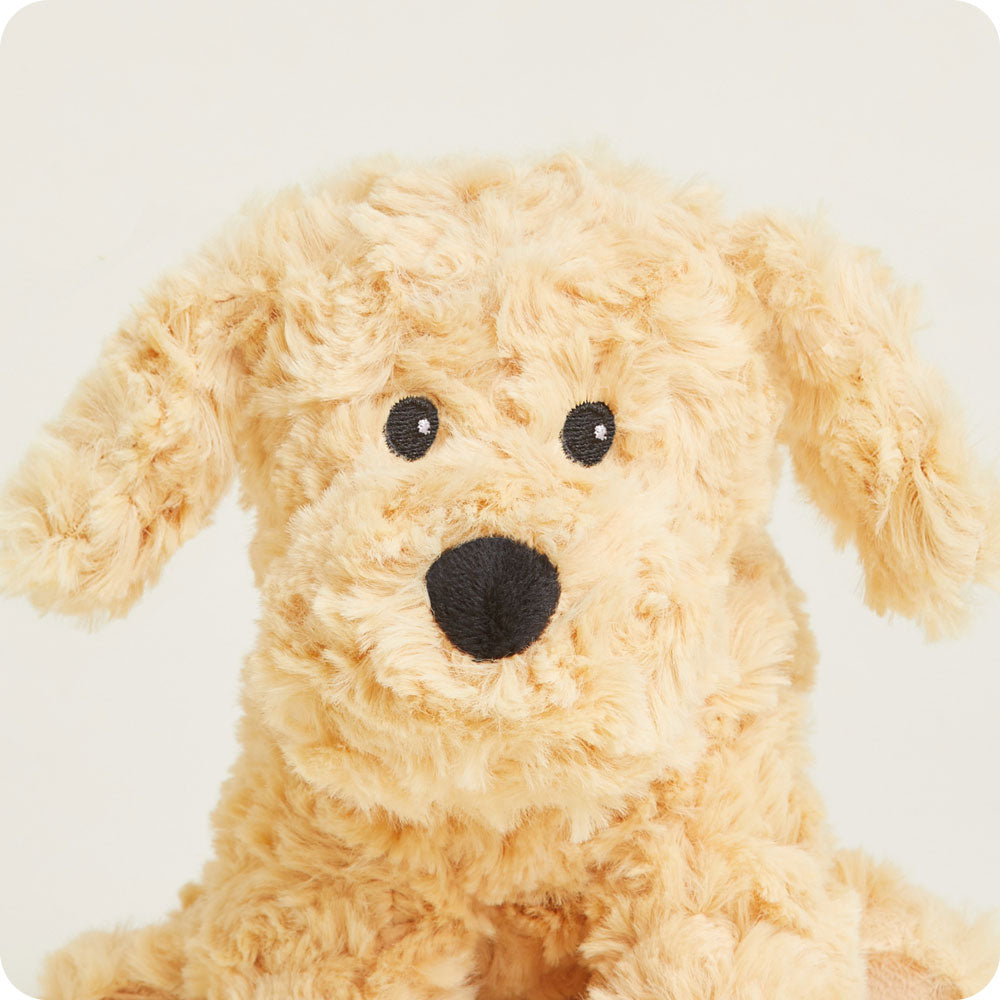CPJ-DOG-3-Golden-Dog-Junior-03-1-2