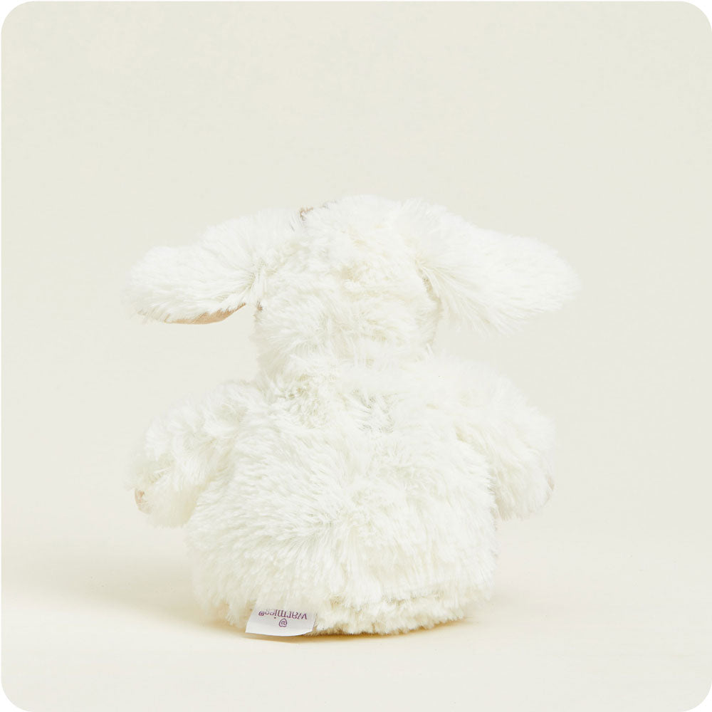 CPJ-PUP-1-Puppy-Junior-04-Crop-1