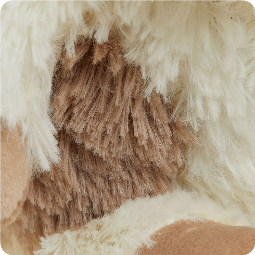 CPJ-PUP-1-Puppy-Junior-07