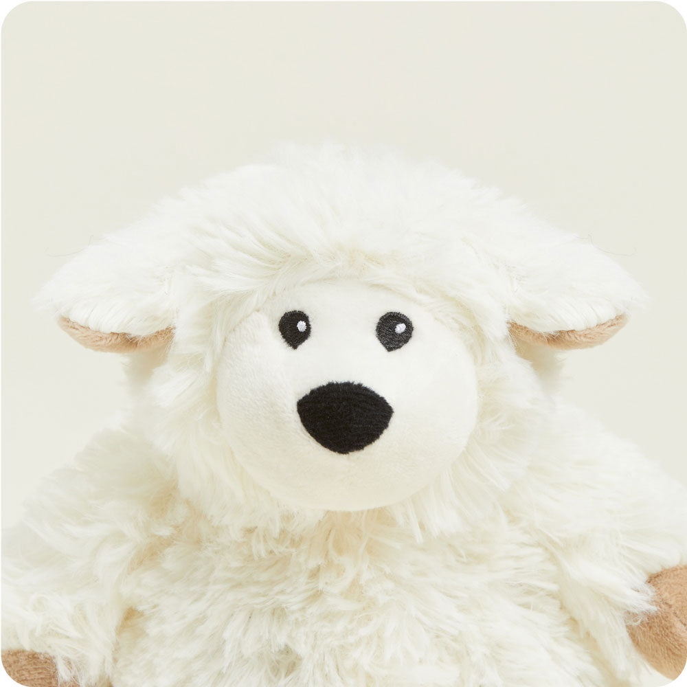 CPJ-SHE-1-Sheep-Junior-01-2