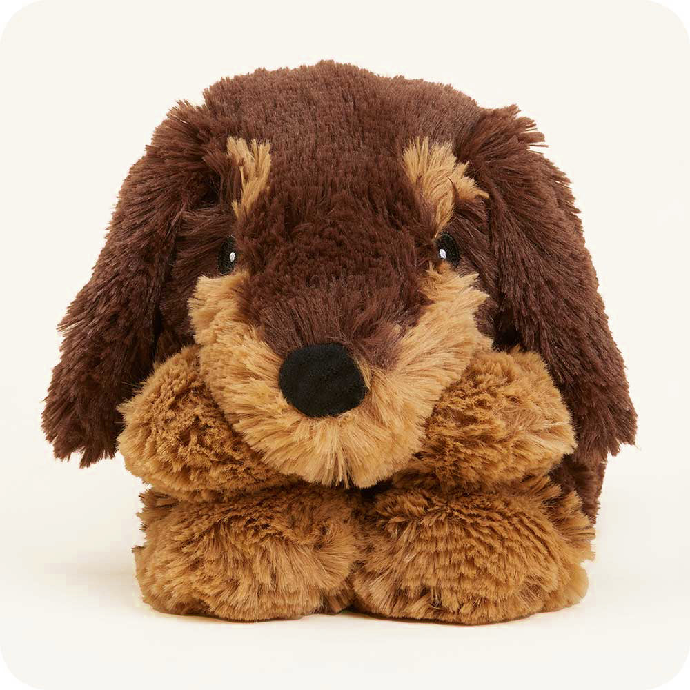 Dachshund-Wrap-02.2_06d2d946-1a07-44f1-b962-cfa3e2867924-1