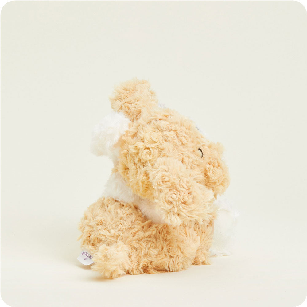 HUGS-PUP-1-Puppy-Hugs-05-Crop-1