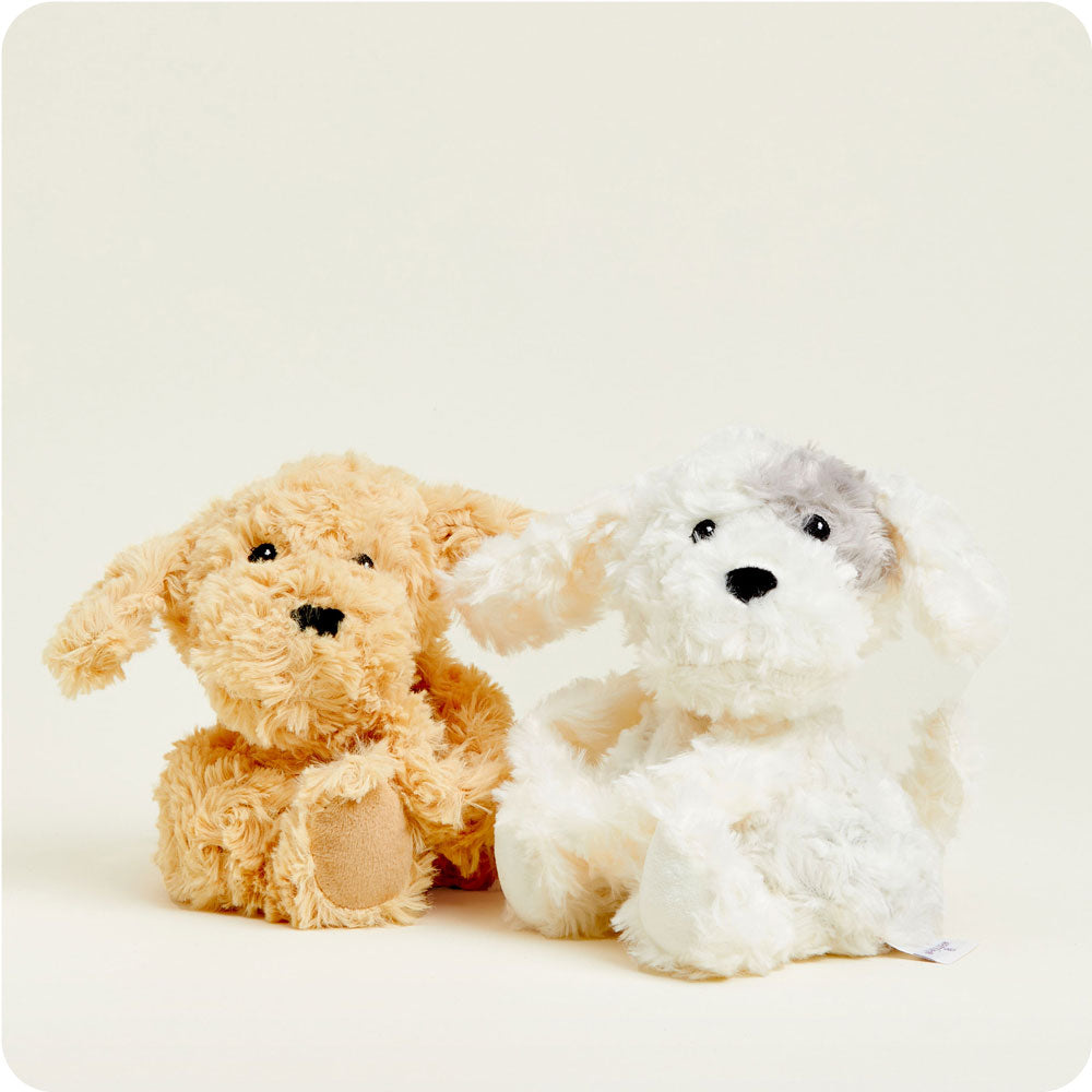 HUGS-PUP-1-Puppy-Hugs-06-Crop-5